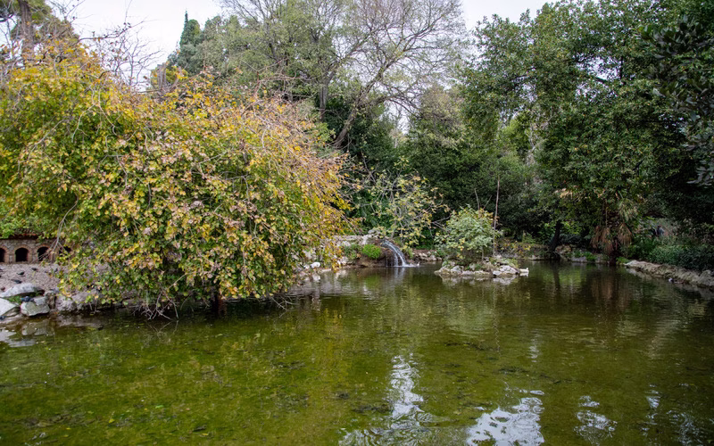 Vijver met struiken en bomen in de Nationale Tuin van Athene